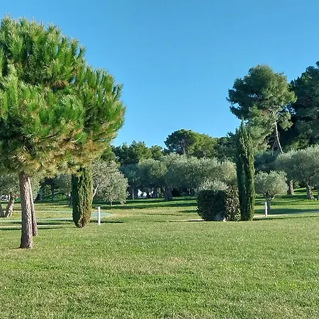 Vista - New 2024 ! Villa